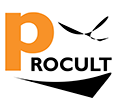 Logo Procult Corso gratuito Roma Produzione discografica